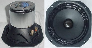 classic 6.5 alnico full range speaker