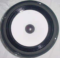 classic 8W full range speaker