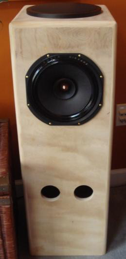 twin full range diy ambience speakers